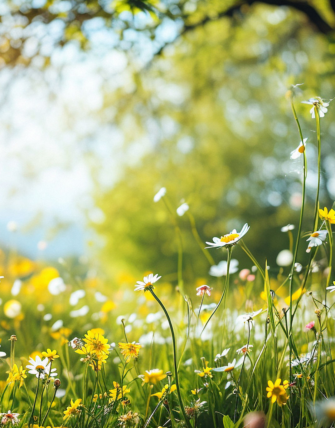 赤羽 メンズエステ｜やさしさSPA（完全個室リラクゼーション）